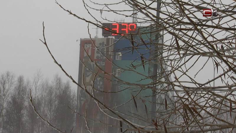 В канун Нового года в Сургуте ударит мороз