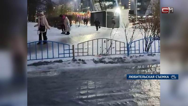 К каким последствиям привел выпавший в Сургуте дождь со снегом