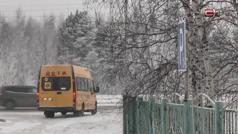 Свыше 1,5 тысячи школьников в Сургуте не пошли на занятия из-за гололеда