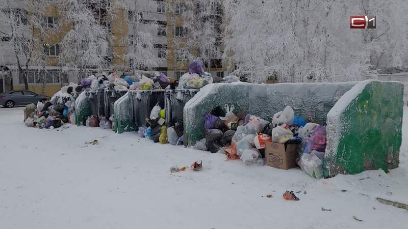 Сургутяне жалуются на накопившийся мусор во дворах