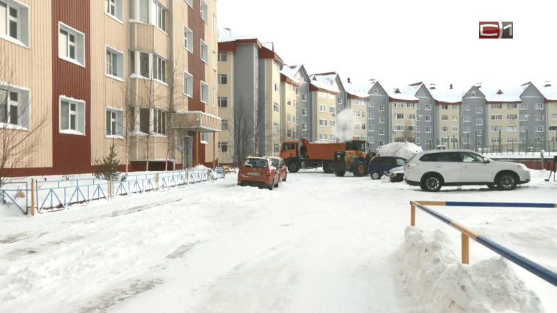 Как управляющие компании справились с чисткой снега во дворах Сургута