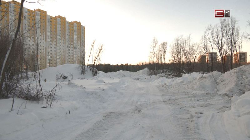 В мэрии Сургута рассказали, почему на Усольцева работает снегоуборочная техника