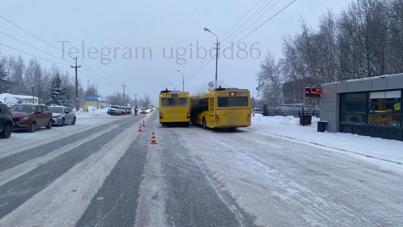 В Сургуте водитель пассажирского автобуса сбил коллегу на остановке