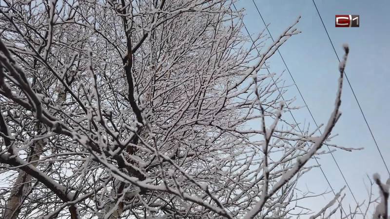 Весна близко: длительное потепление придет в Сургут на следующей неделе