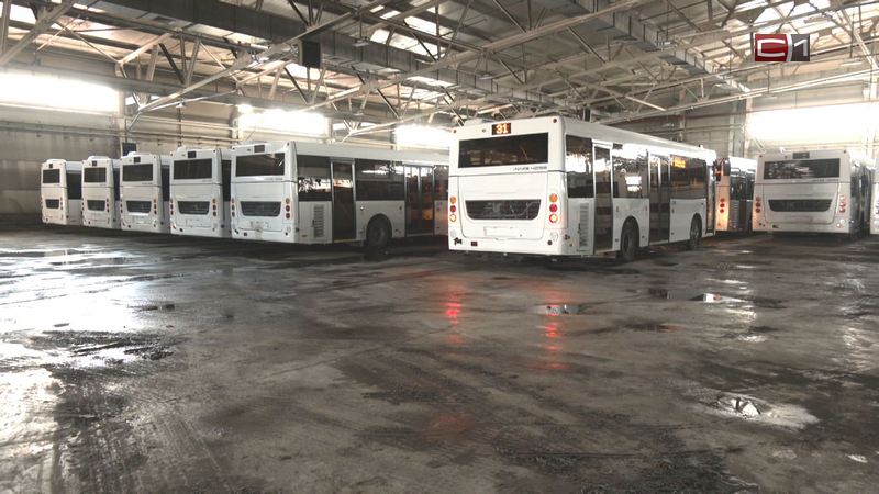 В Сургут прибыла новая партия автобусов: когда они выйдут в рейсы