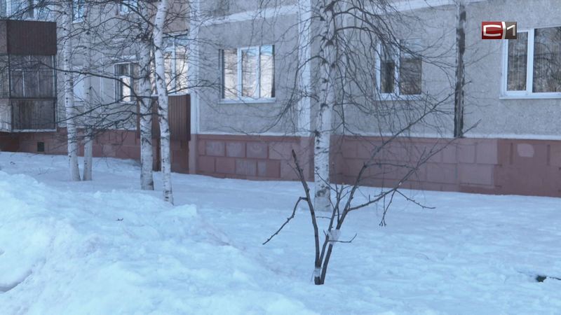 Деревья и кустарники в Сургуте стали жертвами снегоуборочной техники