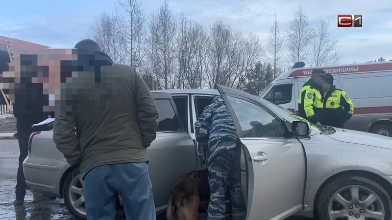 В Югре задержали пьяного водителя, который вез выращенную дома коноплю