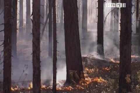 В Сургутском районе снова полыхают леса