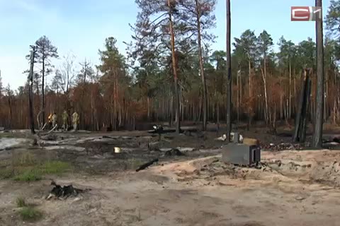 Аборигенам компенсируют убытки от лесных пожаров