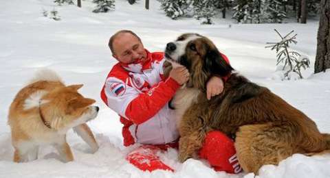 Владимир Путин поиграл в снегу со своими собаками
