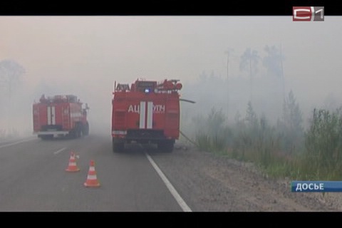 В Сургутском районе почти некому тушить лесные пожары
