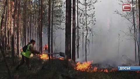 В тушении лесов пожарные Югры надеются лишь на собственные силы