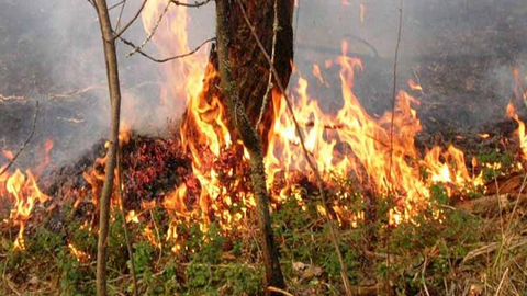 В Югре открыт пожароопасный сезон 