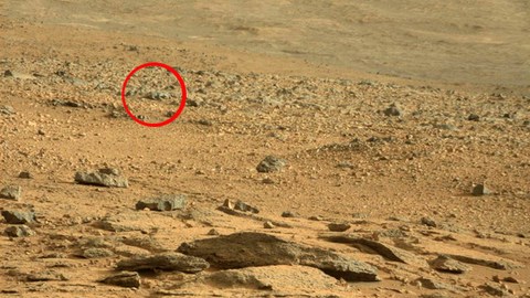 Японец обнаружил «космическую ящерицу» на марсианском снимке NASA