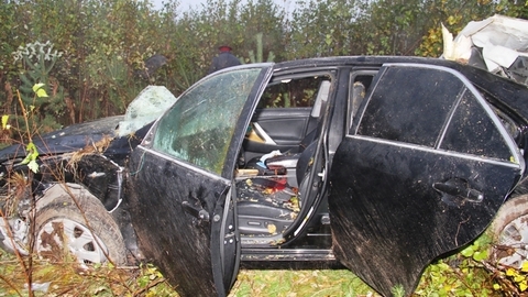 В Югре «Тойота» сбила лося. Погиб водитель иномарки и сохатый, пострадали два пассажира