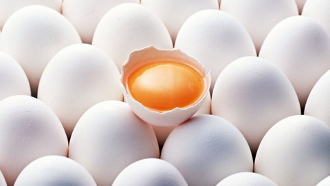 ФАС будет расследовать подорожание яиц