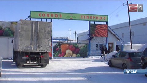 Совхоз «Северное» задолжал своим работникам 8 млн рублей