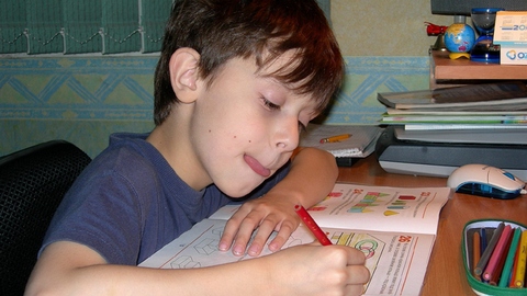 Сайты сургутских школ заработают в полную силу 10 февраля
