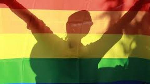 Американский гей-правозащитник разрушил миф о гомофобии в России