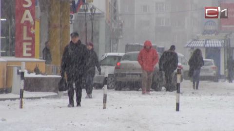 Неожиданную метель в Сургуте сменит весенняя погода