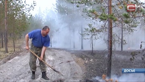 Холодное начало лета спасло Сургутский район от лесных пожаров