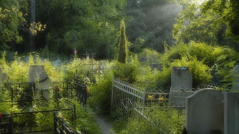 На российских кладбищах могут появиться многоразовые могилы