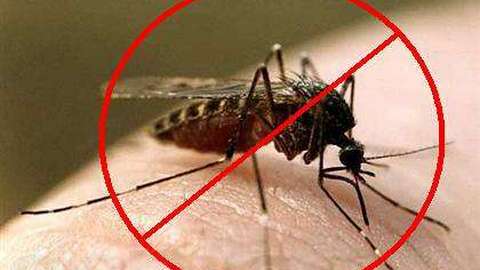 Комаров в Надыме убивают током