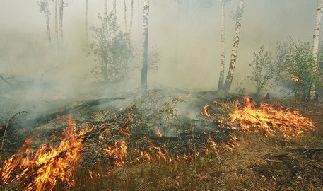 Режим ЧС введен в Сибири и на Дальнем Востоке из-за  опасности пожаров