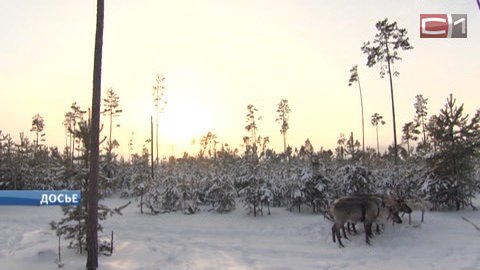 Зимние каникулы в Русскинской. Сургутяне массово отказываются от заграничных туров
