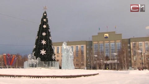 Главное в празднике — безопасность. Перед Новым годом ледовые городки Сургута проверят кинологи 