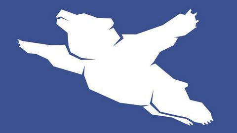«Летающие медведи — это норма». Интернет оценил новый логотип хабаровского аэропорта
