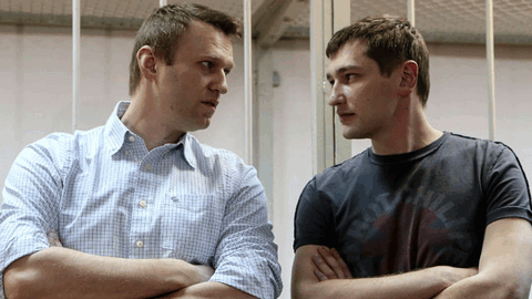 Братья Навальные и Евгения Васильева могут попасть под амнистию в честь юбилея Победы