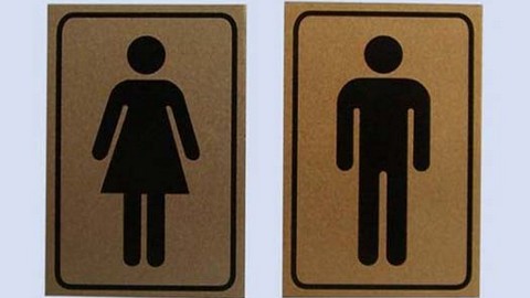 Равенство начинается с уборной? В Швеции придумали «гендерно нейтральные» туалеты
