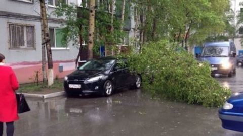 Минувшей ночью в Сургуте на машины падали деревья и плитка с крыш