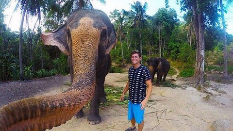 А в Instagram выложит? В Таиланде слон сделал селфи с туристом