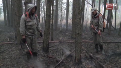 Лесные пожары не страшны. Спасатели Сургутского района показали новые средства борьбы со стихией