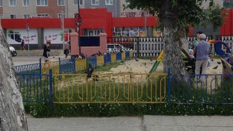 Эсеры нашли в Югорске "экстремистский парк": с перевернутыми флагами РФ и желто-синими заборами