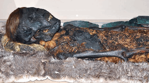 На Ямале обнаружили захоронение многовековой давности — мумию подростка в бересте и металле