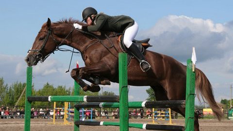 Соревнования по конному спорту пройдут в Ханты-Мансийске. Соберутся наездники со всего округа