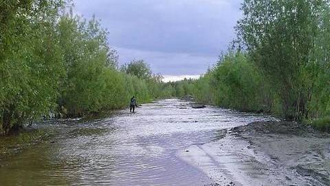 В Нефтеюганске восстановили после паводка дорогу в дачный поселок «Кедровый», где утонул пенсионер