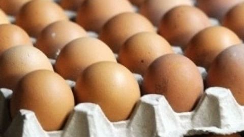 На оптового поставщика яиц, в которых была обнаружена сальмонелла, завели административное дело