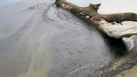 Очередное экологическое ЧП в Сургутском районе. Из-за порыва трубопровода нефть вылилась в реку Моховая