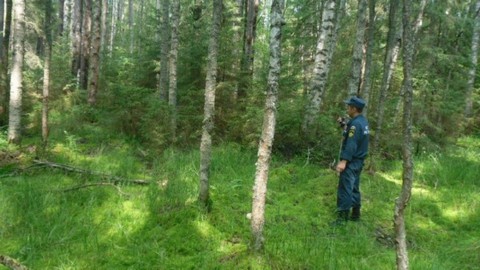 По грибы, по ягоды. В Югре полицейские двое суток искали заблудившегося в лесу мужчину