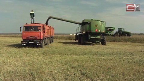 Урожай-2015. Тюменские аграрии за сезон собрали почти полтора миллиона тонн зерна