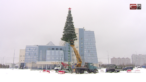 К 1 декабря в Сургуте появится 6 новогодних елок. Первую уже устанавливают на площади СурГУ