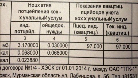 Счета за «цуй». Жители Мурманской области получили коммунальные квитанции на неизвестном языке