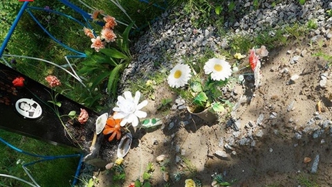 Потоптали могилы в поисках конфет. В Нефтеюганском районе восстанавливают кладбище после визита медведей