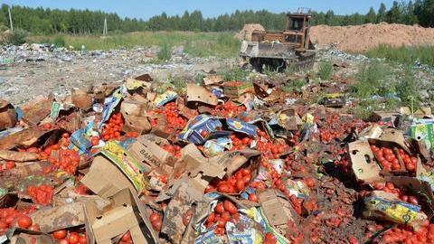Мясо под видом жвачки. В России за год уничтожили более 7,5 тонн «санкционки»