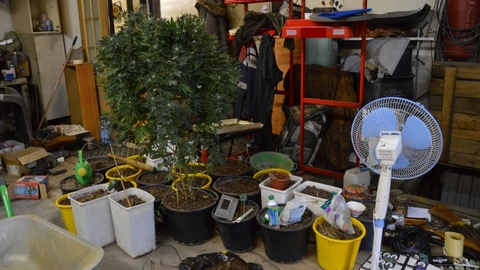 Югорчанин попался на выращивании марихуаны: для плантации в гараже сделал даже "климат-контроль". ФОТО