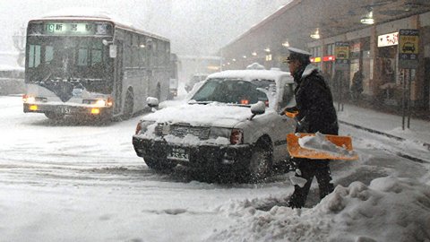Впервые за 54 года в Токио выпал ноябрьский снег